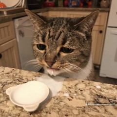 pinegrove - need 2 (acoustic cover)