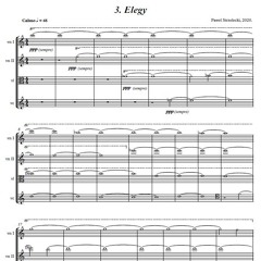 Pawel Strzelecki: 3. Elegy [String Quartet No. 4 (2020)].