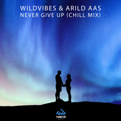 Never Give Up (Chill Mix)