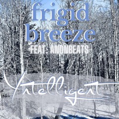 Yntelligent "Frigid Breeze (feat. AnonBeats)"
