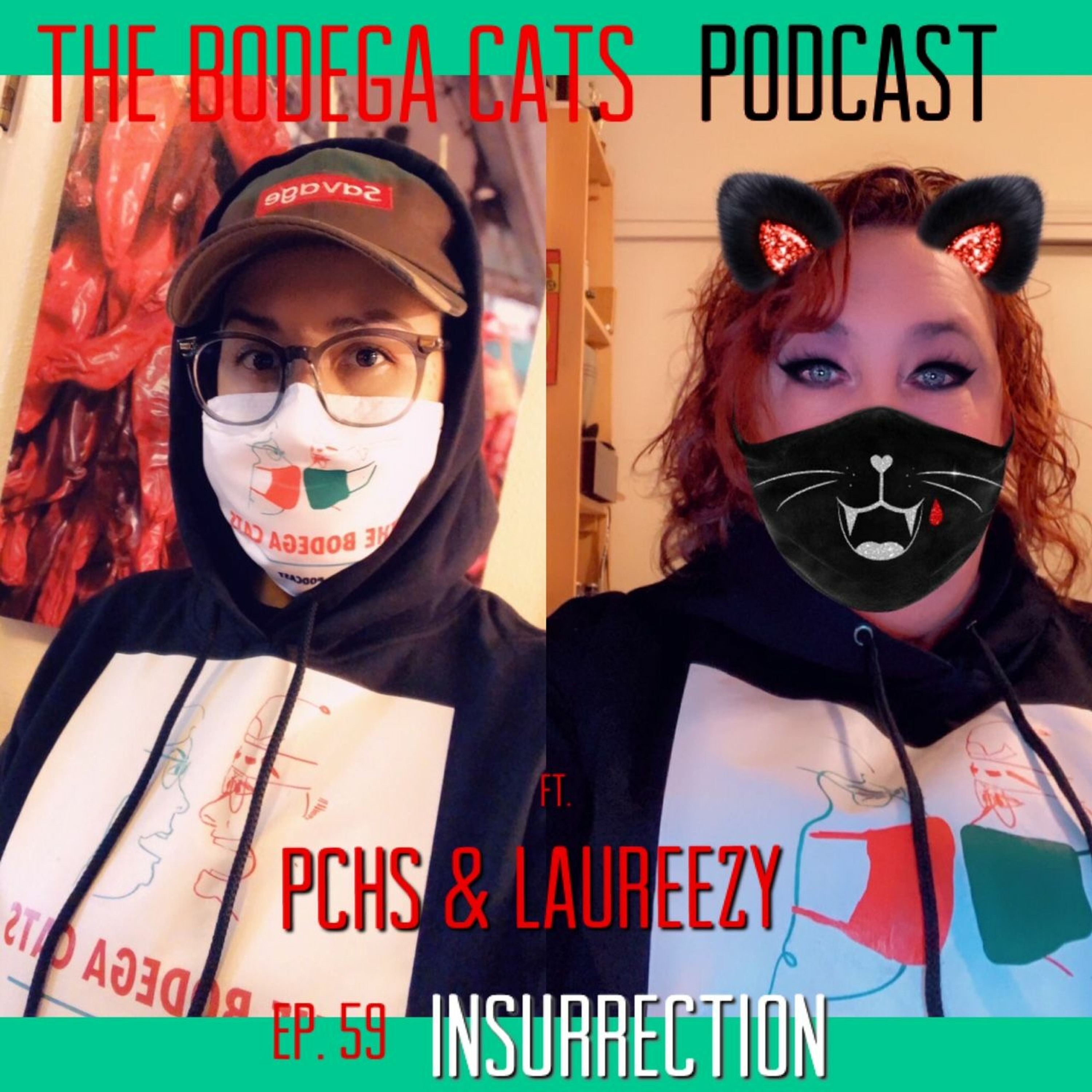 The Bodega Cats Podcast