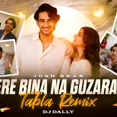 DJ Dally | Josh Brar |Tere Bina Na Guzara E (Tabla Mix)