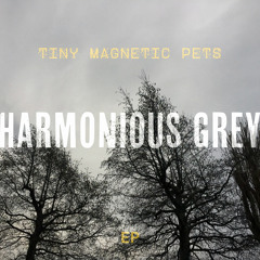 Harmonious Grey
