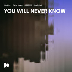 You Will Never Know