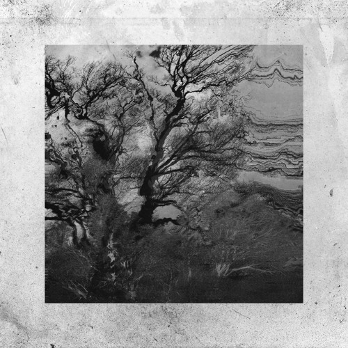 PREMIERE: CTAFAD - Observatory [GSXS]