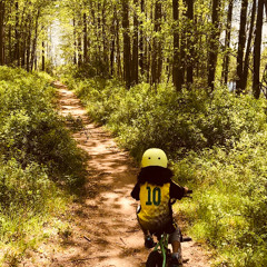 Thought forms of light with Nikki 光