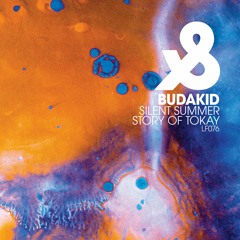 Premiere: Budakid - Silent Summer [Lost & Found]