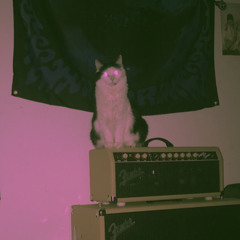 06 Weddings & Funerals