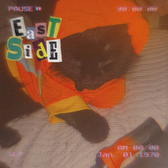 east side w/ Danny’s Adventures (prod. jang0)