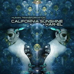 02 - California Sunshine (Har - El) - The Wasp