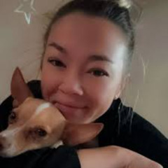Clip Logan Guminski Chihuahua Video Reddit Viral