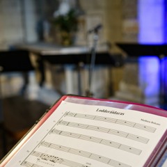 Mathieu Bolcato - Lodderáidaras