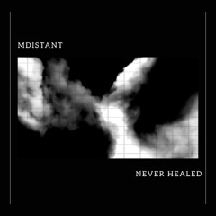 Never Healed (Original Mix)