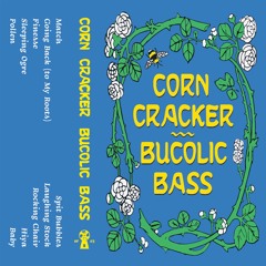 Going Back (to My Roots)