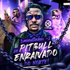 3 MINUTINHO MAIS 2 DO PITBULL DO NORTE - DJ MAEL