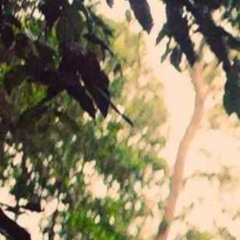 Cobblestone Industry (Feat Boadz)