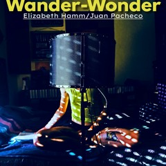 WANDER WONDER MASTERED