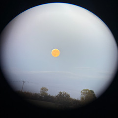 soon go back to tha mountains (instrumental)