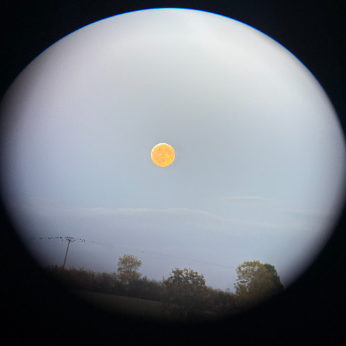 soon go back to tha mountains (WILEY FLOW DUB)