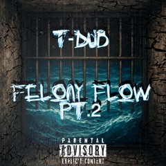TDUB-FelonyFlowPT2