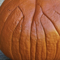 Pumpkin Proximity