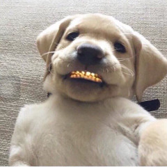 КЛИП (prod.by lilillmadeit, homeboynifty)