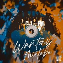 Wantony Mixtape [Remixed by Ali Amirian]