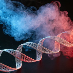 Cigarette Smoke and Weak DNA Repair: A Double Hit Behind Lung Cancer Risk