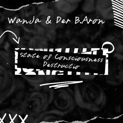 Wanja & Der B.Aron - Consciousness Destruction