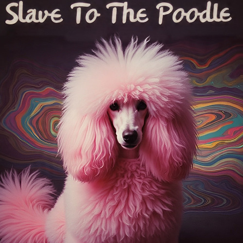 Ziggy Stardust & the spiders from mars