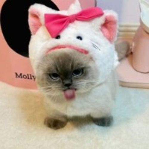 I’M NOT YOUR AVERAGE AMERICAN X ARTHUR MORGAN