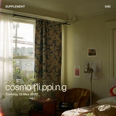 cosmoflipping – SUPPLEMENT 040
