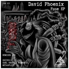 David Phoenix - Incorrigible (Original Mix)