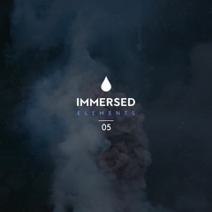 Crimsen - Without You [Immersed Recordings]