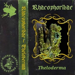 Rhacophoridae - I. Helaine, The Princess