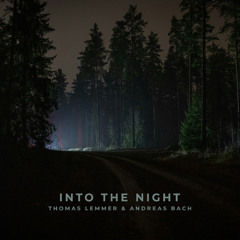 Into the night (Snippet)