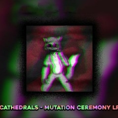 CATHEDRALS - Unloved