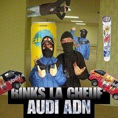 AUDI ADN (Remix TH Audi RS/ADN + Bu$hi Audemars + Horsegiirl Obsessed + Rojuu & Faxuu Hookah)