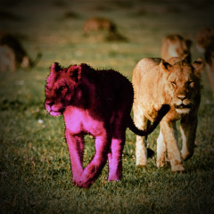 terragoth - pinklion** (hoam ji)