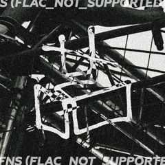 DJ ALIO // FNS (Flac_Not_Supported)
