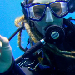 Diving & Snorkeling Similan Islands: A Peaceful Escape with Wetzone Divers