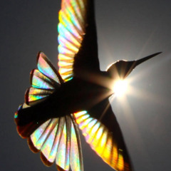 head in the clouds (prod. vpstv x youforia)