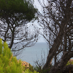 De temps en tant n 6