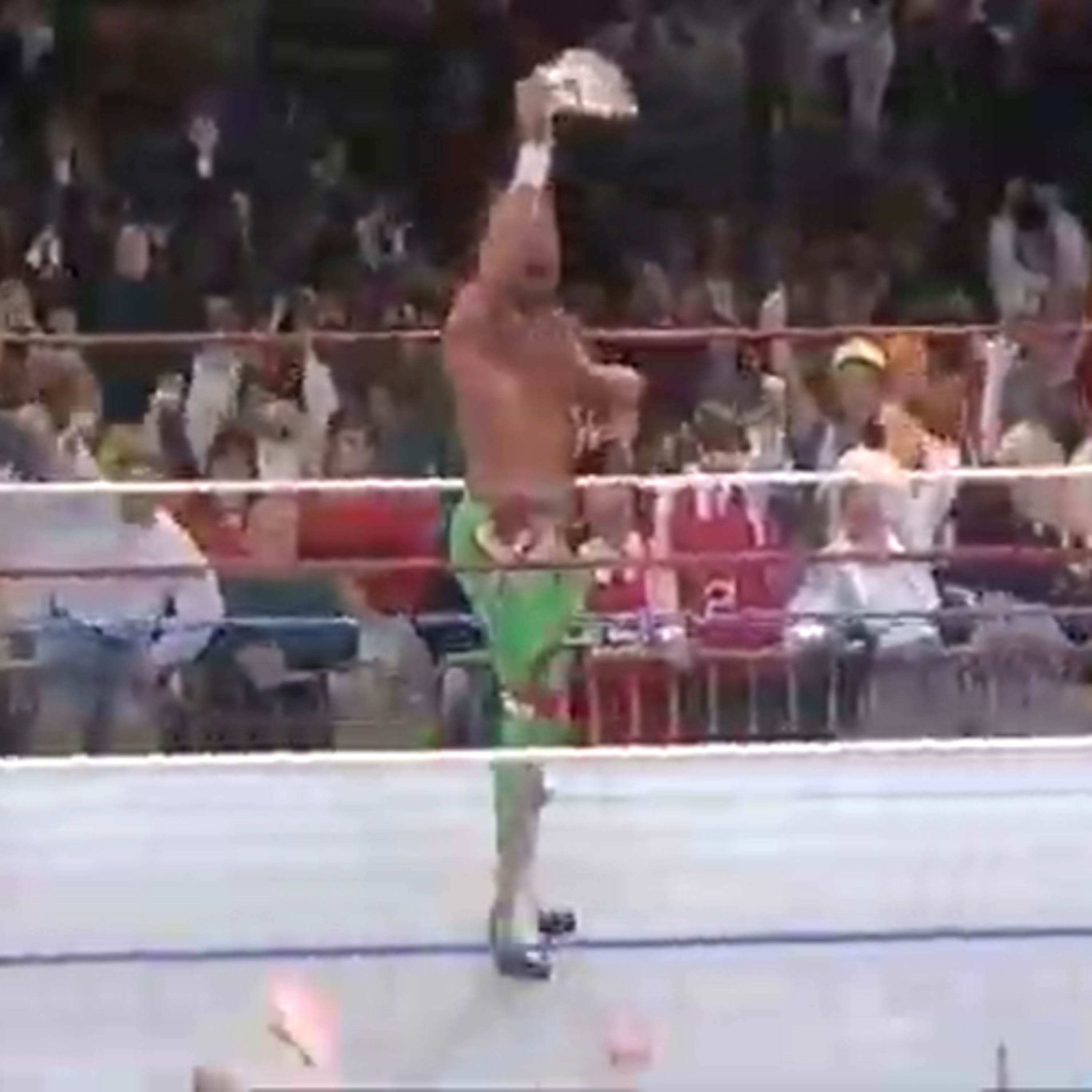 GFA Live #224: WWF Superstars 01-20-1990