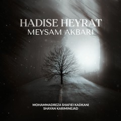 Meysam Akbari - Hadise Heyrat میثم اکبری - حدیث حیرت