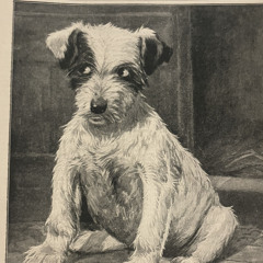 Train Crossing & Radioactive FM Welly Sounds Field Recording