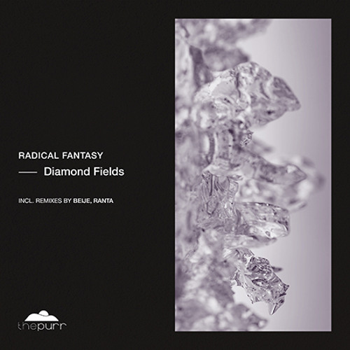 Radical Fantasy -Diamond Fields (Original Mix)