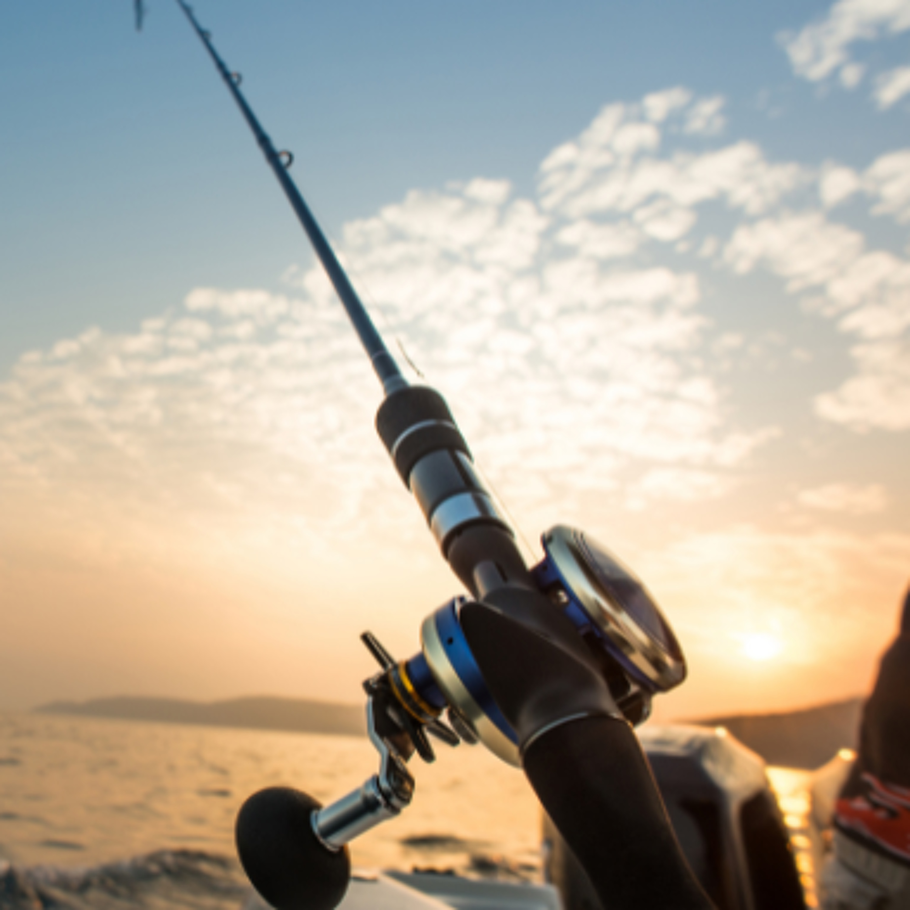 July Fishing Tips: Damien Culliney's Guide To Making The Most Of Ireland's Summer Waters