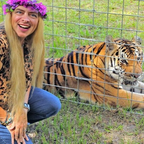 The Jungle Feud