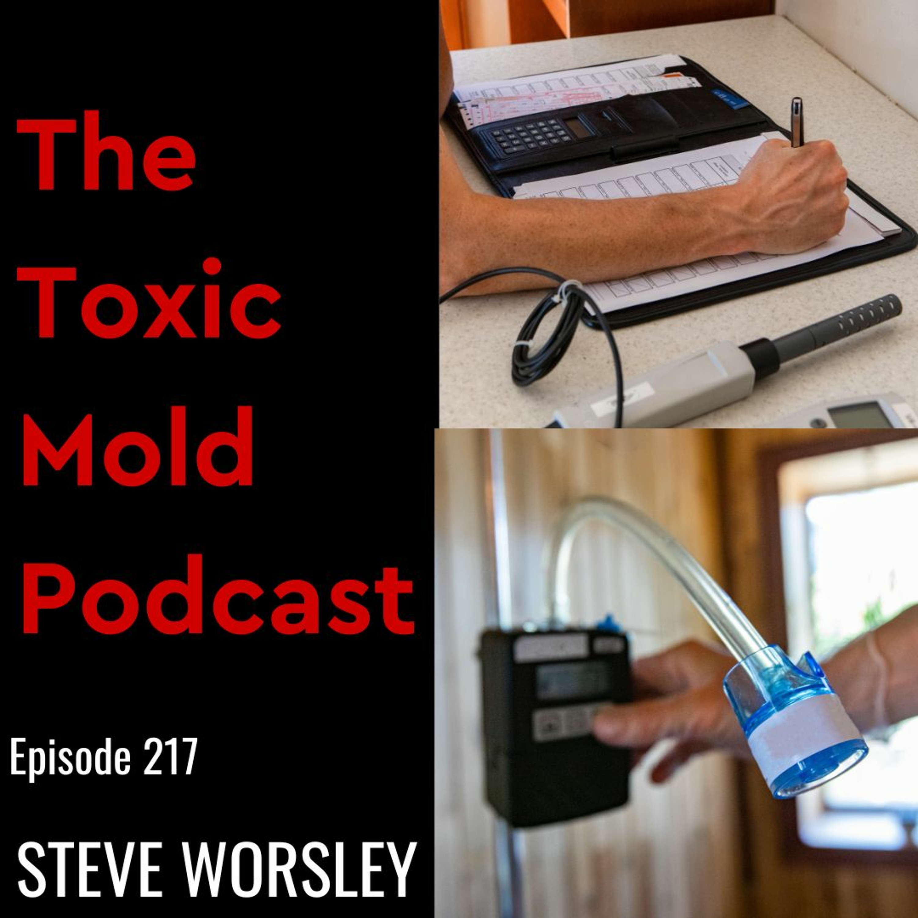 The Toxic Mold Podcast